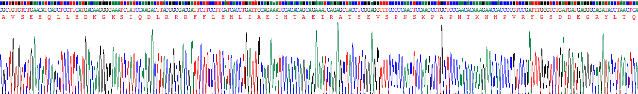 Recombinant Parathyroid Hormone Related Protein (PTHrP)