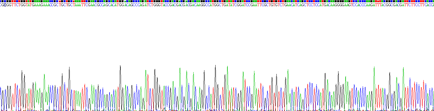 Recombinant Parathyroid Hormone Related Protein (PTHrP)