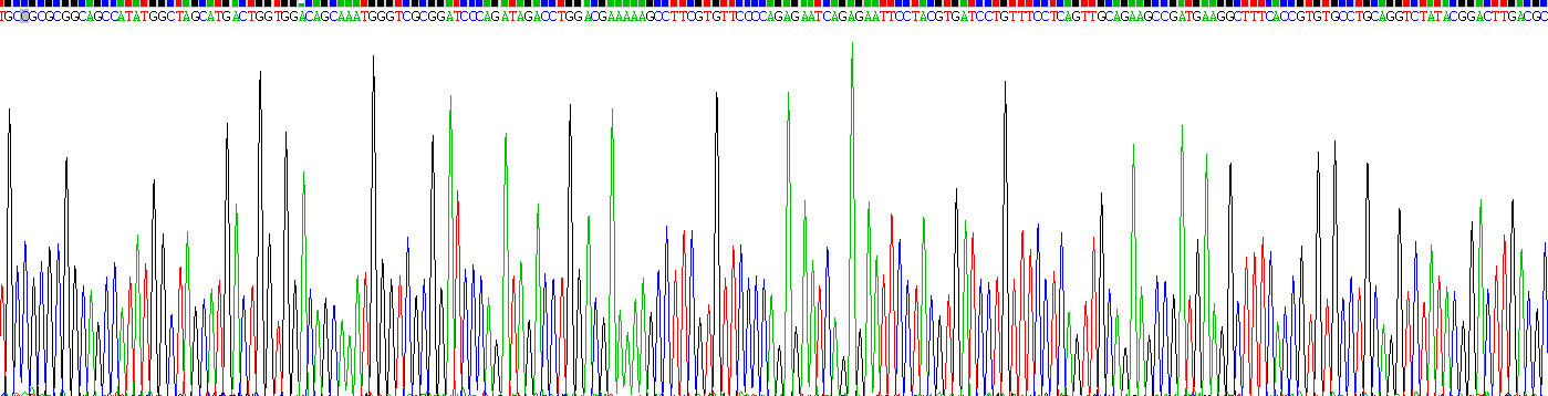 Recombinant C Reactive Protein (CRP)