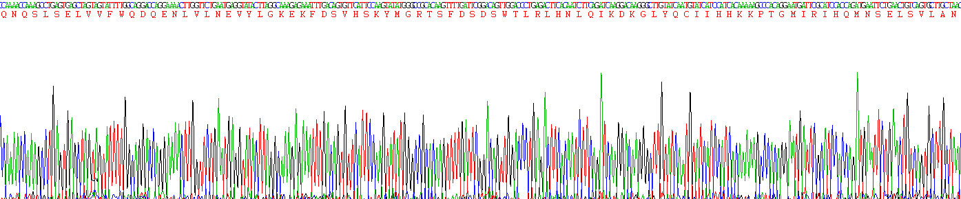 Recombinant Cluster Of Differentiation 86 (CD86)