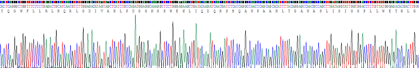 Recombinant Tumor Necrosis Factor Ligand Superfamily, Member 14 (TNFSF14)