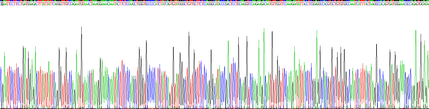 Recombinant Follicle Stimulating Hormone (FSH)