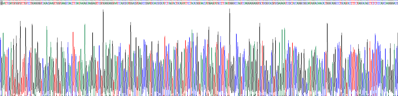 Recombinant Von Willebrand Factor (vWF)