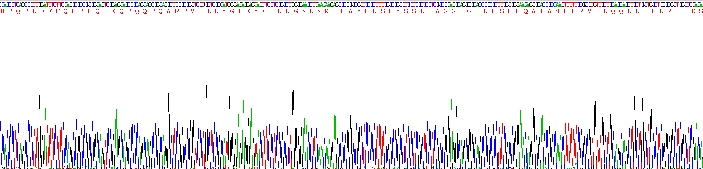 Recombinant Corticotropin Releasing Factor (CRF)