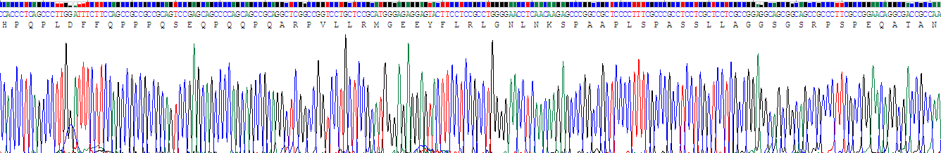 Recombinant Corticotropin Releasing Factor (CRF)