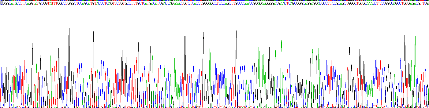 Recombinant Nitric Oxide Synthase 2, Inducible (NOS2)