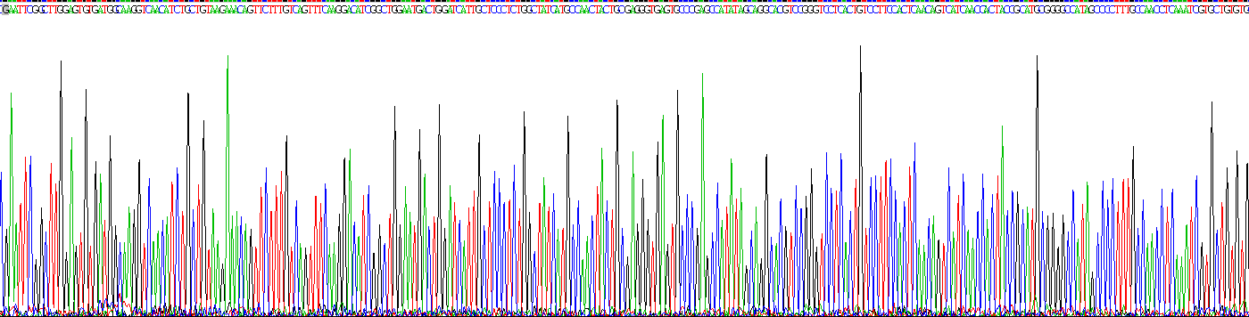 Recombinant Inhibin Beta A (INHbA)