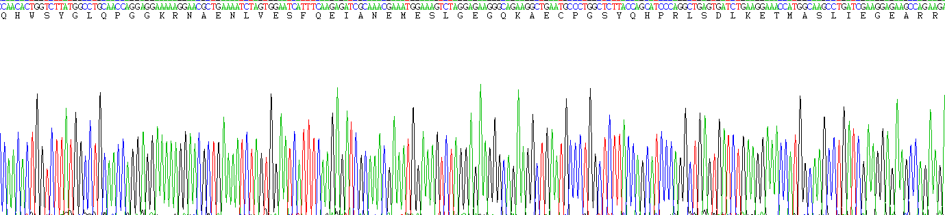 Recombinant Gonadotropin Releasing Hormone (GnRH)