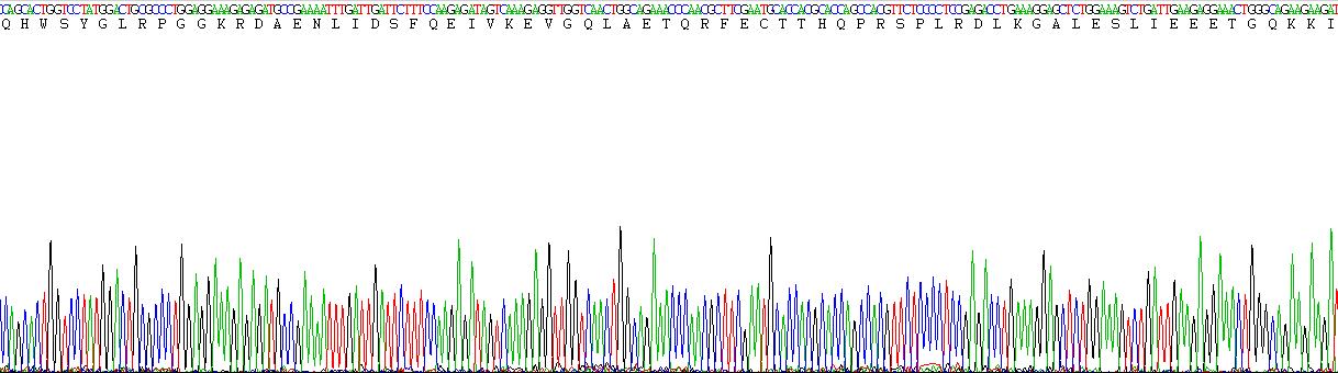 Recombinant Gonadotropin Releasing Hormone (GnRH)