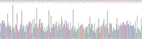 Recombinant Prolactin (PRL)