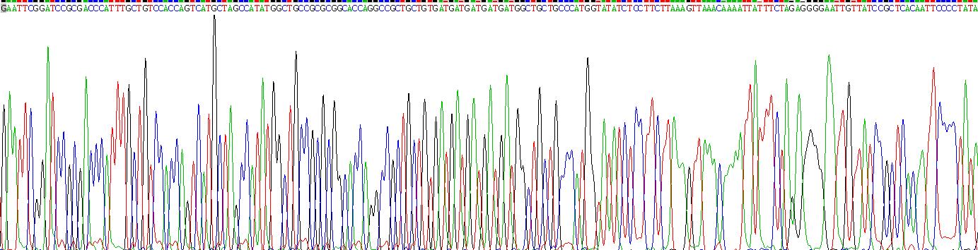 Recombinant Prolactin (PRL)