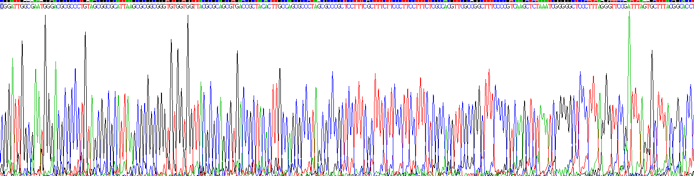 Recombinant Protease Activated Receptor 2 (PAR2)