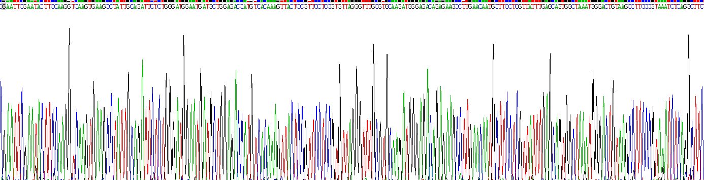 Recombinant Aminopeptidase A (ENPEP)