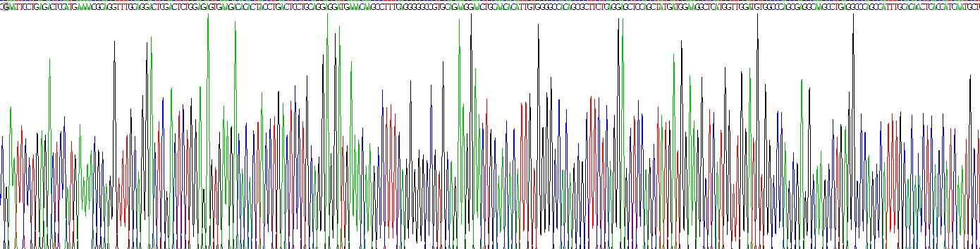 Recombinant Receptor Activator Of Nuclear Factor Kappa B Ligand (RANkL)