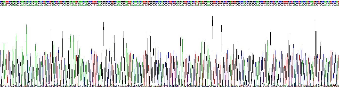 Recombinant Receptor Activator Of Nuclear Factor Kappa B Ligand (RANkL)