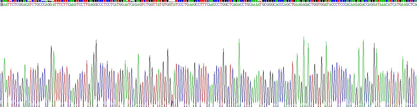 Recombinant Clara Cell Protein 16 (CC16)