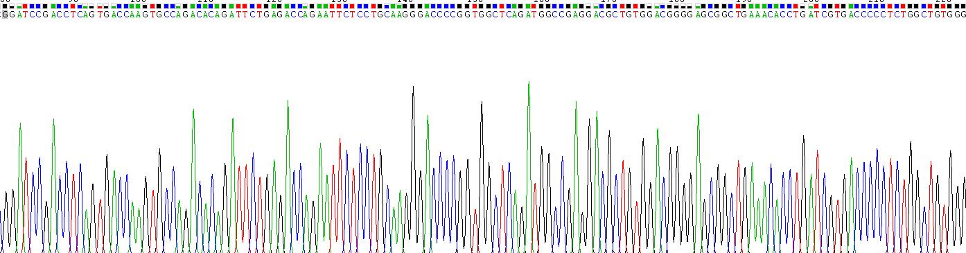 Recombinant Complement Component 3 (C3)