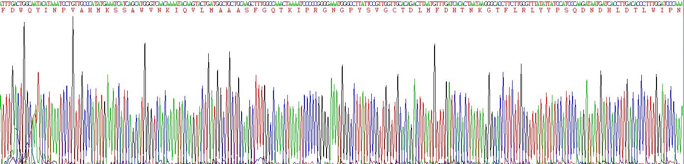 Recombinant Phospholipase A2 Group VII (LpPLA2)