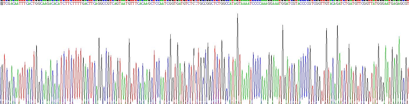 Recombinant Phospholipase A2 Group VII (LpPLA2)