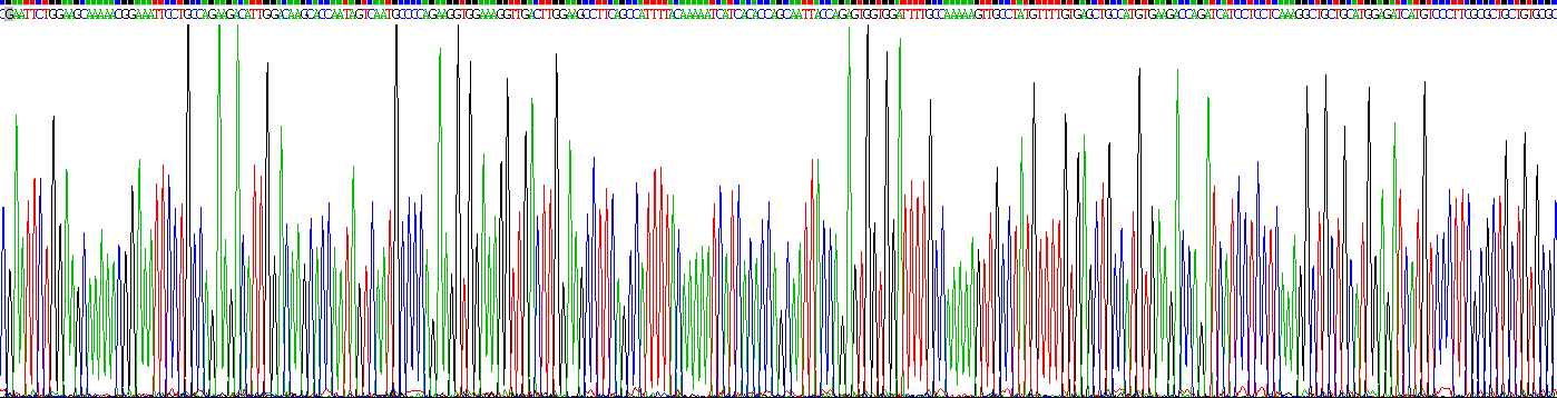 Recombinant Thyroid Hormone Receptor Beta (THRb)