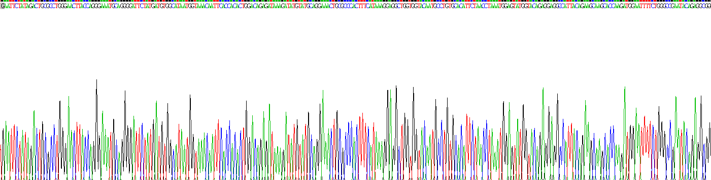 Recombinant Angiopoietin-3 (ANG-3)