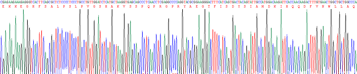 Recombinant Gastric Inhibitory Polypeptide (GIP)