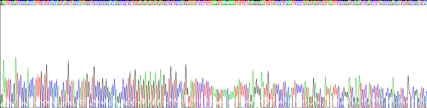 Recombinant Serum Amyloid A (SAA)