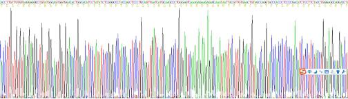 Recombinant Renin (REN)