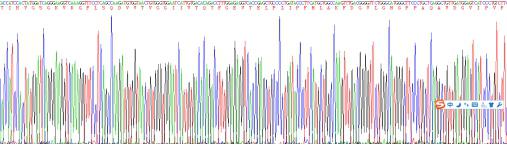 Recombinant Renin (REN)