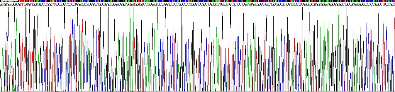 Recombinant Pulmonary Surfactant Associated Protein A1 (SFTPA1)