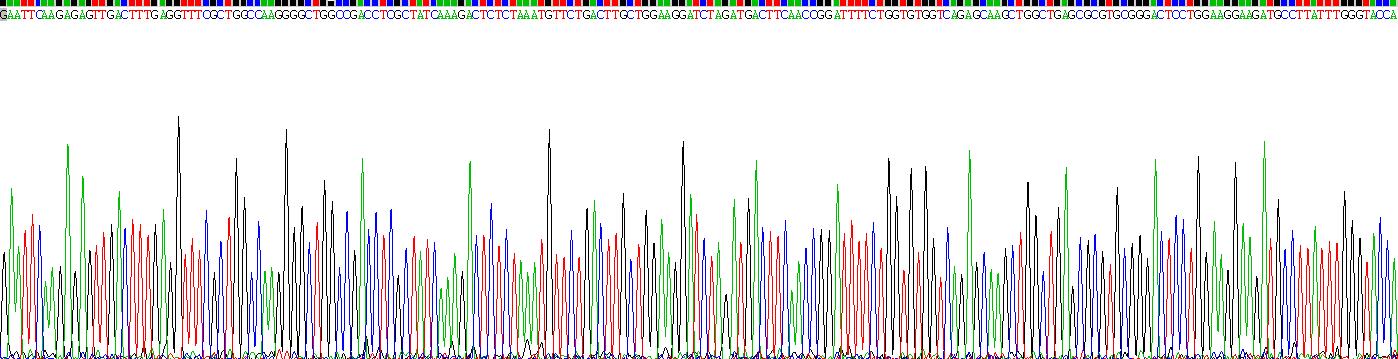 Recombinant Arachidonate-15-Lipoxygenase (ALOX15)