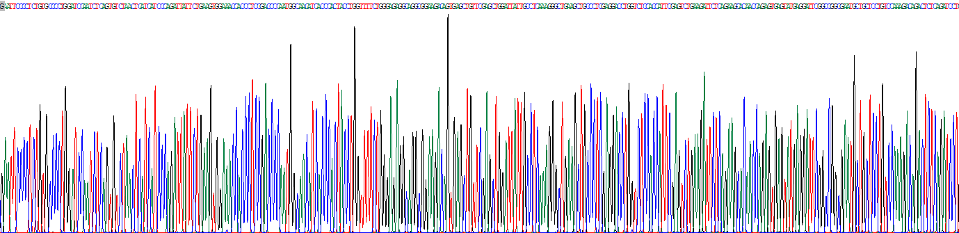 Recombinant Insulin Receptor (INSR)