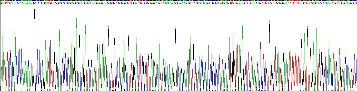 Recombinant Cystatin C (Cys-C)