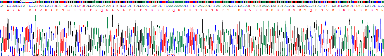 Recombinant Osteopontin (OPN)