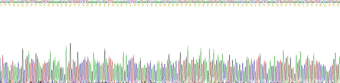 Recombinant Osteopontin (OPN)