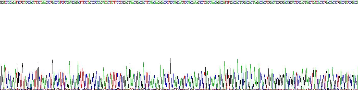 Recombinant Osteopontin (OPN)