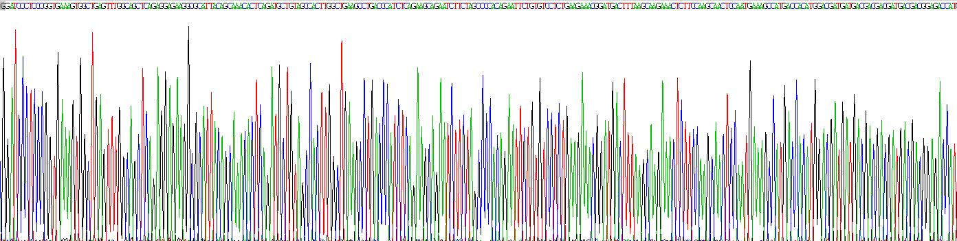 Recombinant Osteopontin (OPN)