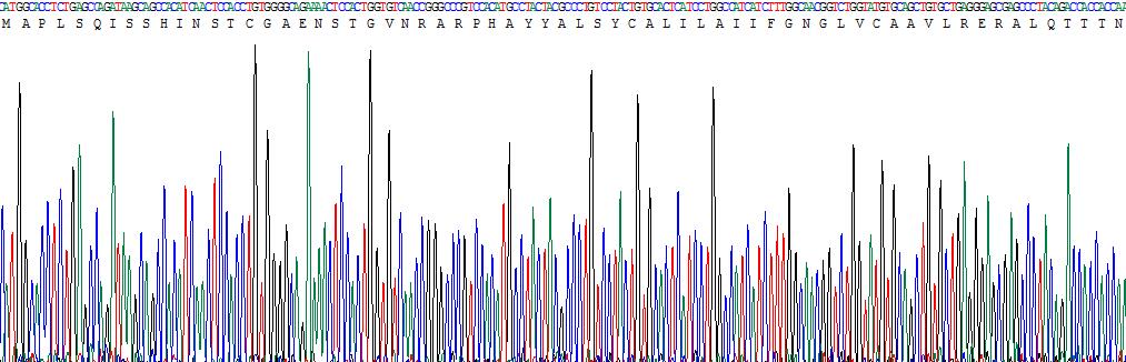 Recombinant Dopamine Receptor D3 (DRD3)