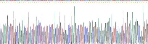 Recombinant Prostaglandin E Synthase 2 (PTGES2)