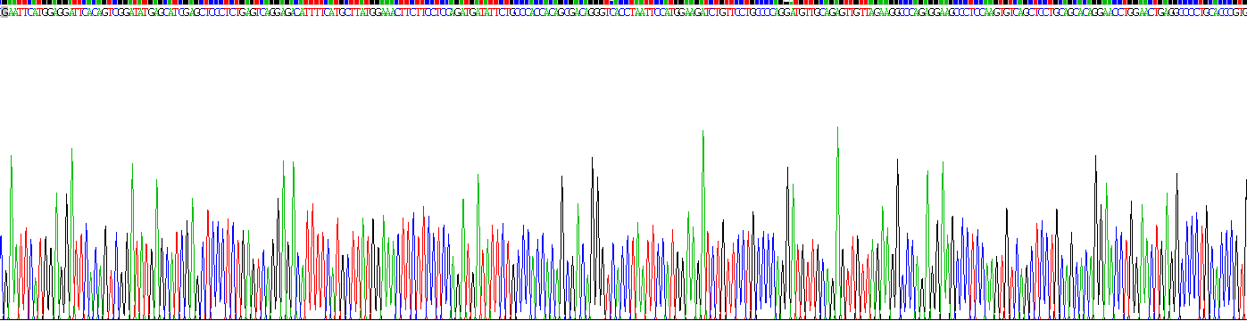 Recombinant Tumor Protein p53 (P53)