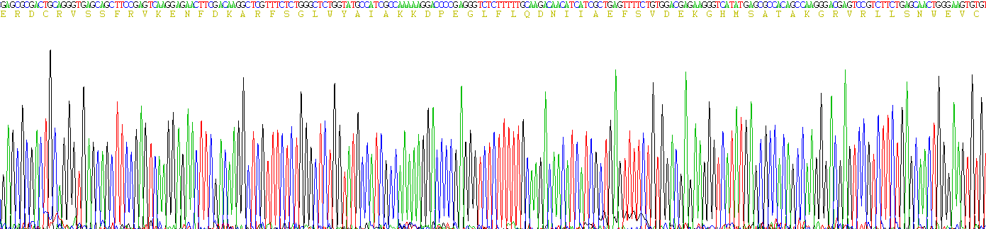 Recombinant Retinol Binding Protein 4 (RBP4)