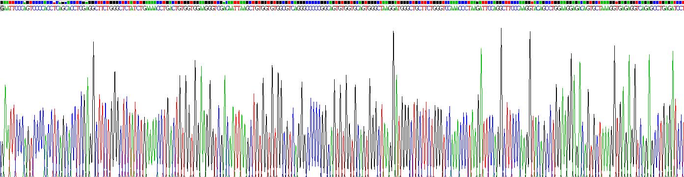 Recombinant Nephrin (NPHN)