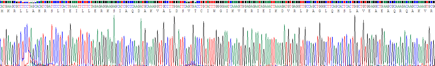 Recombinant Podocin (PDCN)