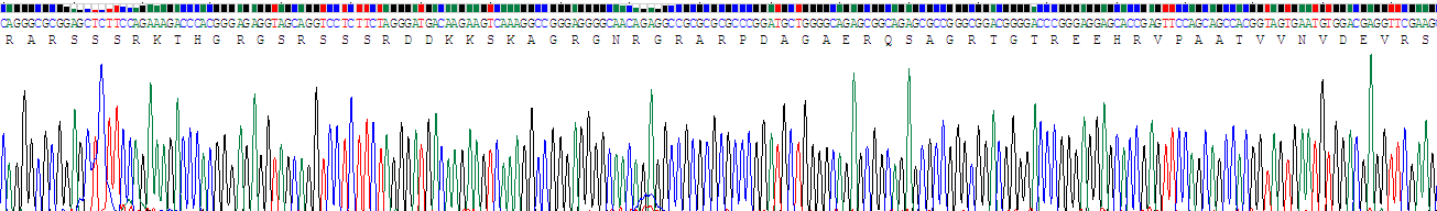 Recombinant Podocin (PDCN)