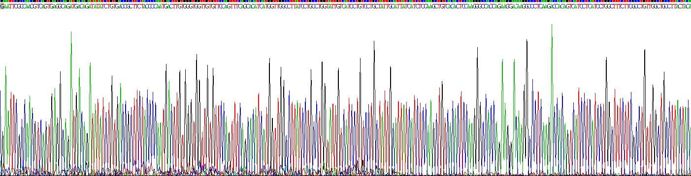 Recombinant Chemokine C-X-C-Motif Receptor 4 (CXCR4)