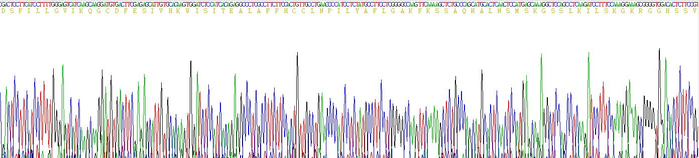 Recombinant Chemokine C-X-C-Motif Receptor 4 (CXCR4)