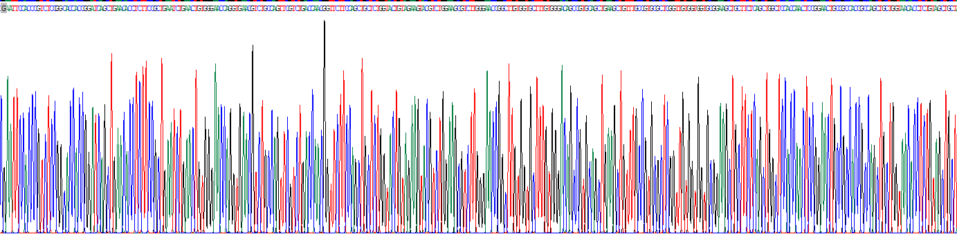 Recombinant Cluster Of Differentiation 6 (CD6)