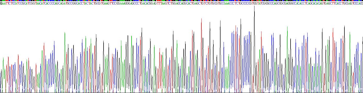 Recombinant Signal Regulatory Protein Alpha (SIRPa)