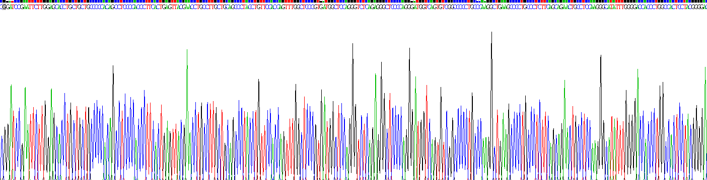 Recombinant Protein Tyrosine Phosphatase Receptor Type N (PTPRN)