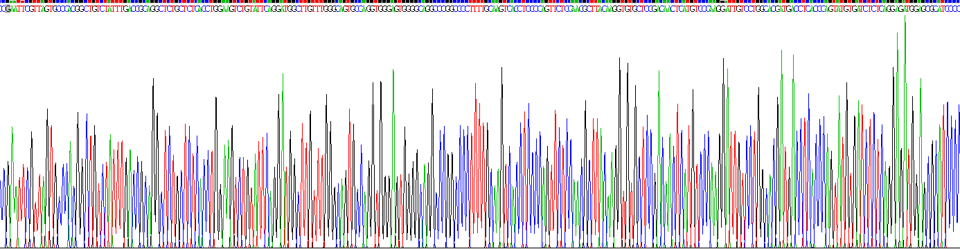 Recombinant Protein Tyrosine Phosphatase Receptor Type N (PTPRN)